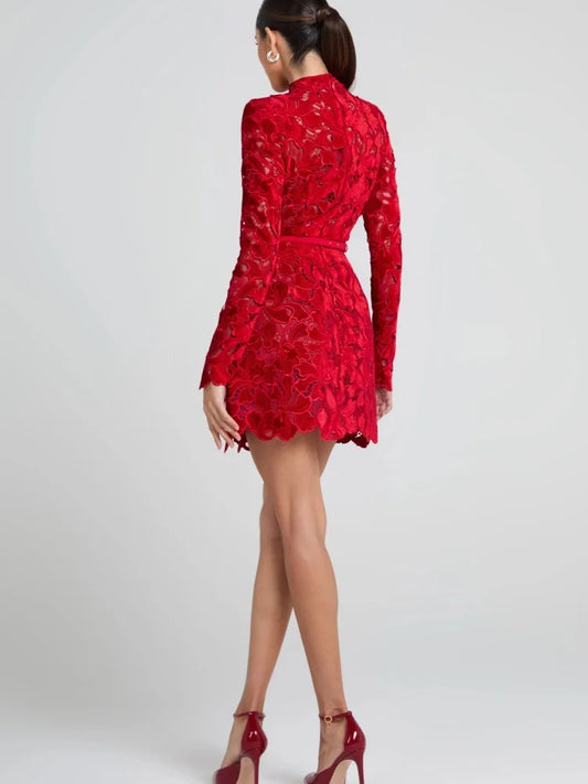 Violette Lace Long Sleeve Mini Dress