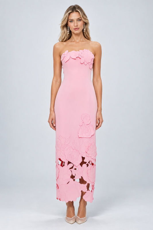 Talisman Pink Strapless Floral Embroidered Maxi Dress